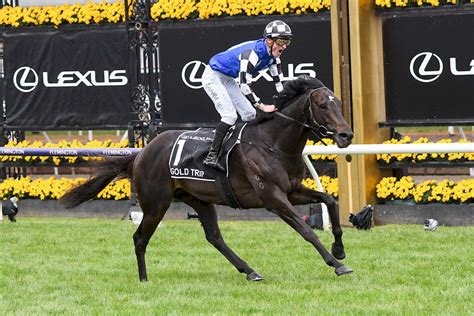 Melbourne Cup Odds .
